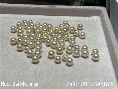 bán ngọc trai, Top 5 của hàng bán ngọc trai: Cửa hàng đá quý Ngọc Gems · Hoàng Gia Pearl · Long Beach Pearl · Ngọc trai Ngọc Hiền